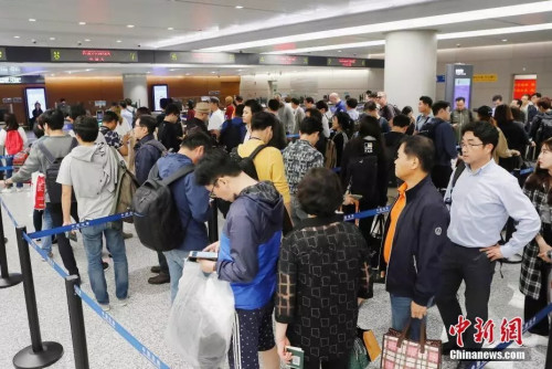 A sea of customs clearance teams. A sea of customs clearance teams.